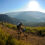 joBerg2c attracts global attention