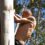 SOUMA SETS HIS SIGHTS ON IMPI GAUTENG