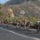 Top young talent for Tour de Boland