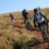 joBerg2c weighs in for heavier riders