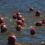 Red tide no threat to River Mile