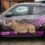 First Car Rental Leads Project to Help Rhino Orphans