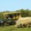 Where to See Rhino in South Africa
