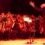 Delft Big Band to Perform at Harold Porter Botanical Garden, Betty’s Bay