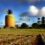 10 Unusual Things to do this Summer