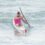 Jeep Team Victories Across South Africa
