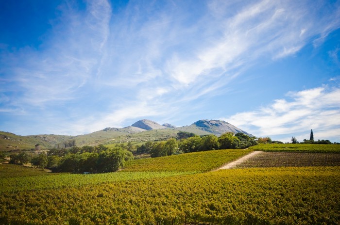 Paarl-Winelands