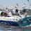 The GAC Laser National Championships is hitting the V & A Waterfront