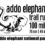 Addo Elephant Trail Run
