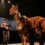 Special Honours at the Naledi Theatre Awards