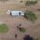 New veterinary research program seeks to promote responsible wildlife management of African buffalo