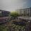 From sleepy hollow to ‘Pretoria’s Sandton’