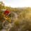 Greg Minnaar joins Rush Sports