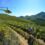 South Africa’s premier one-day mountain bike race granted UCI status