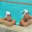Swim twins aim for explosive performances at Worlds