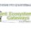 Get a South African perspective on payment ecosystems & gateways landscape