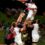 Young Guns coach aims to shore up defence