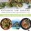 Chef, Jason Whitehead Hosts Two New Cooking Courses