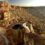Winter wedding must do’s with Cape Country Routes