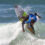 Billabong Junior Series presented by All Aboard Travel Opens the Ballito Pro Surf Festival