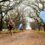 Top Triathlete, Michael Lord Wins his 4th Banhoek Duo Challenge Title