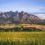 Spectacular Summer in Paarl and Wellington