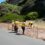 Plastics|SA Clean-Up Crews Help Keep Environmental Footprint Of Cape Town’s Two Major Sporting Events As Small As Possible