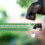 ESI Africa to host water expert webinar on technology to overcome Cape Town’s impending Day Zero