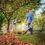 Green Technology set to change Gardening Landscape at Decorex Durban