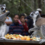 SAASA takes firm stance on captive wildlife welfare