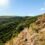 Adventurers blaze the trails for the first ever NFB Great Zuurberg Trail Run