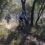 Waterberg changes provide interesting challenge