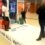 Mirror, Mirror…in the Mall