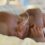 Premature deaths on the decline