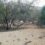 East Cape farmers’ resilience ‘being tested’