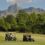 A swinging start to 2019 with the Gooderson Drakensberg Gardens Ladies Golf Challenge