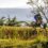 Husqvarna Classic Mid-Illovo MTB Challenge & Trail Run – Sunday 28 April 2019