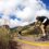 Willard Batteries Sponsors Boarder2Beach Cycle Tour in Aid of Alzheimer’s and Dementia Awareness