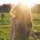 Spring clean your mind, body and soul