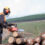 SA Forestry Sector Makes Chainsaw Training Safer With Virtual Reality