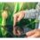 Technology can enhance food security in Africa