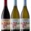 Survivor triumphs at Michelangelo International Wine Awards