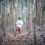 Travel treasure troves in the trees