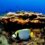 Protecting the Ocean, Protects People!
