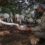 Scottburgh’s Crocworld Conservation Centre is open for visits