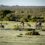 De Hoop Vlei MTB Experience (guided ride) update for 2020