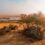 New luxury lodge under construction in the Nambiti Game Reserve (KZN)