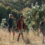 The Top 5 Trails to Tackle this Summer in your Falke Socks