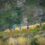 AfricanX Trailrun entries open this week with an Early Bird Special