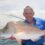 The ultimate Christmas gift for South African anglers is now available!